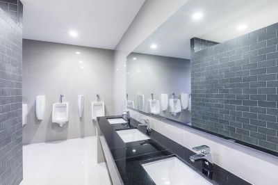Contemporary Bathroom Features